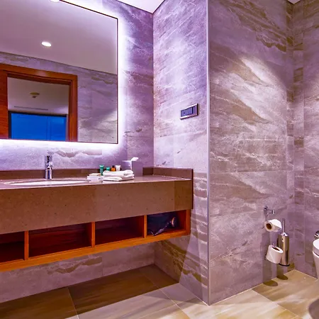 Accom Hotel Sivas 5* Sivas