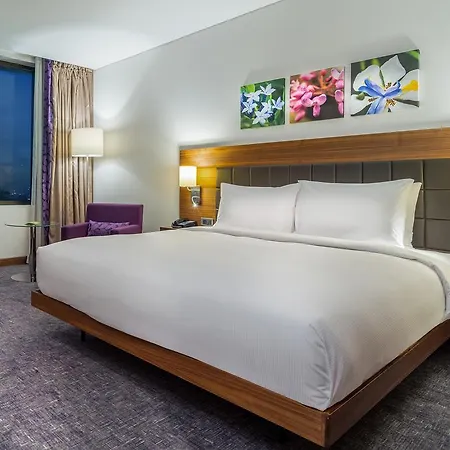 The Park Hotel 5*