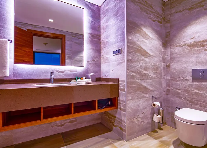 Accom Hotel Sivas 5* Sivas