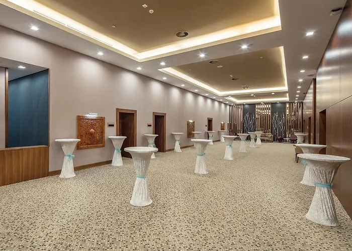 מלון Accom Hotel Sivas 5*