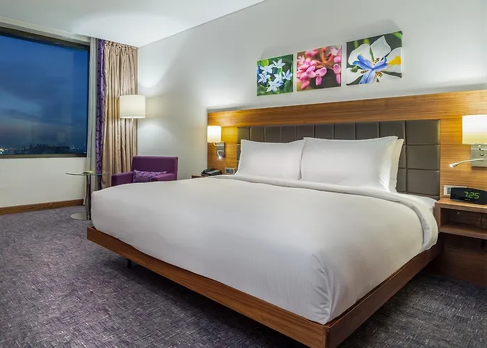 Accom Hotel Sivas מלון 5*