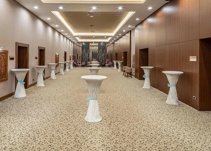 Accom Hotel Sivas 5* Sivas