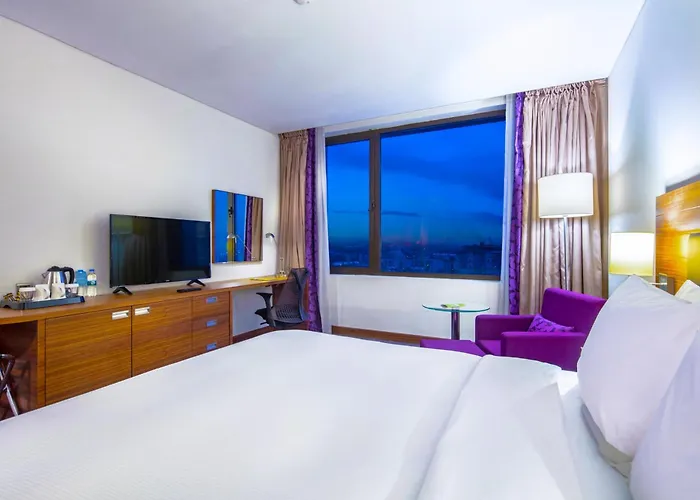 Accom Hotel Sivas 5* Sivas