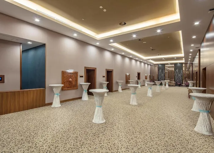 Accom Hotel Sivas Hotel 5*